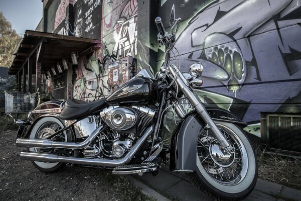 Motocykl harley-davidson na tle graffiti