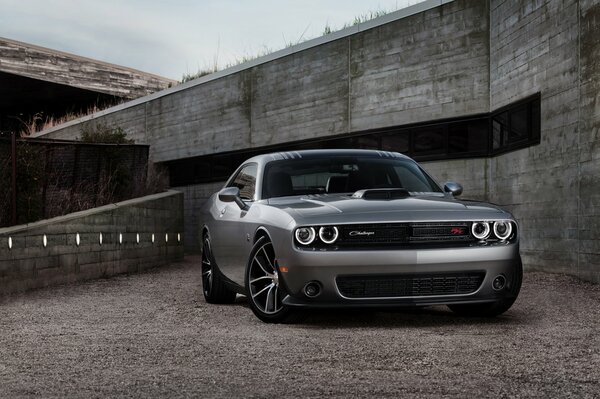 Dodge Challenger plateado bajo el puente