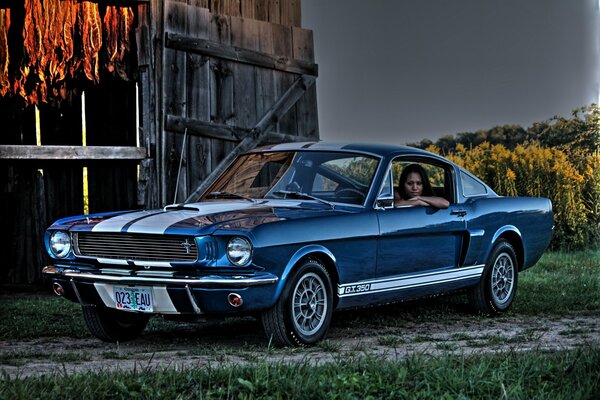 Ragazza sul sedile posteriore in una ford mustang del 1966