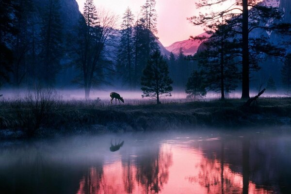 A lake shrouded in pre-dawn fog