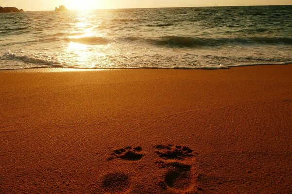 Huellas en la arena junto al mar al atardecer