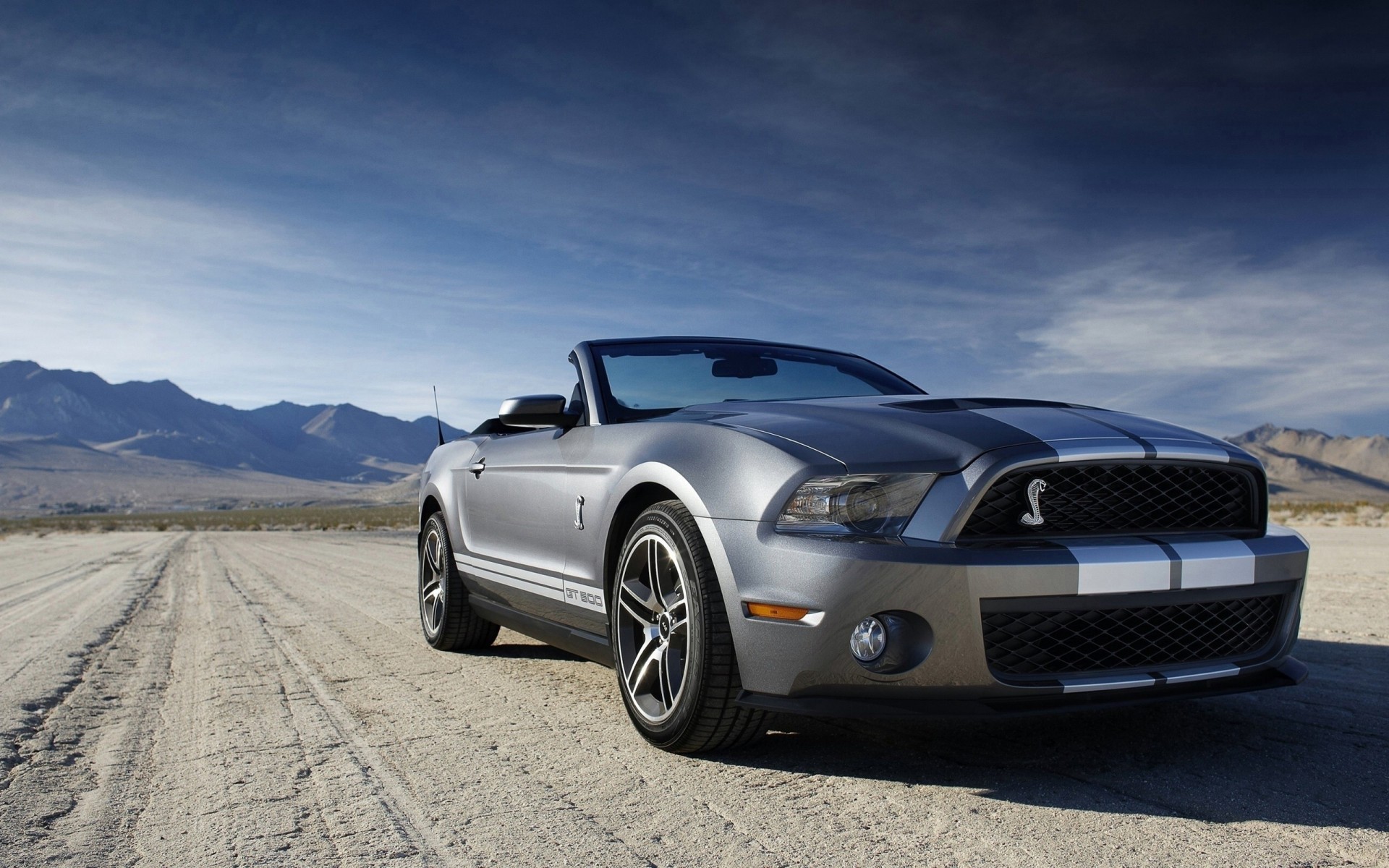 mustang himmel shelby ford