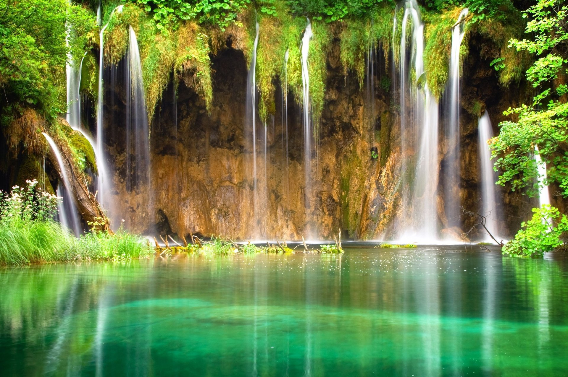 fiori tropici cascata laguna stagno specchio cascata acqua cascate erba verde albero rami foglie scogliera