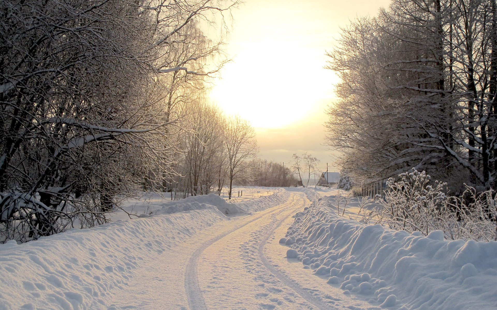 natura paesaggi case inverno strade sfondi invernali alberi albero strada foreste foto neve case freddo sole