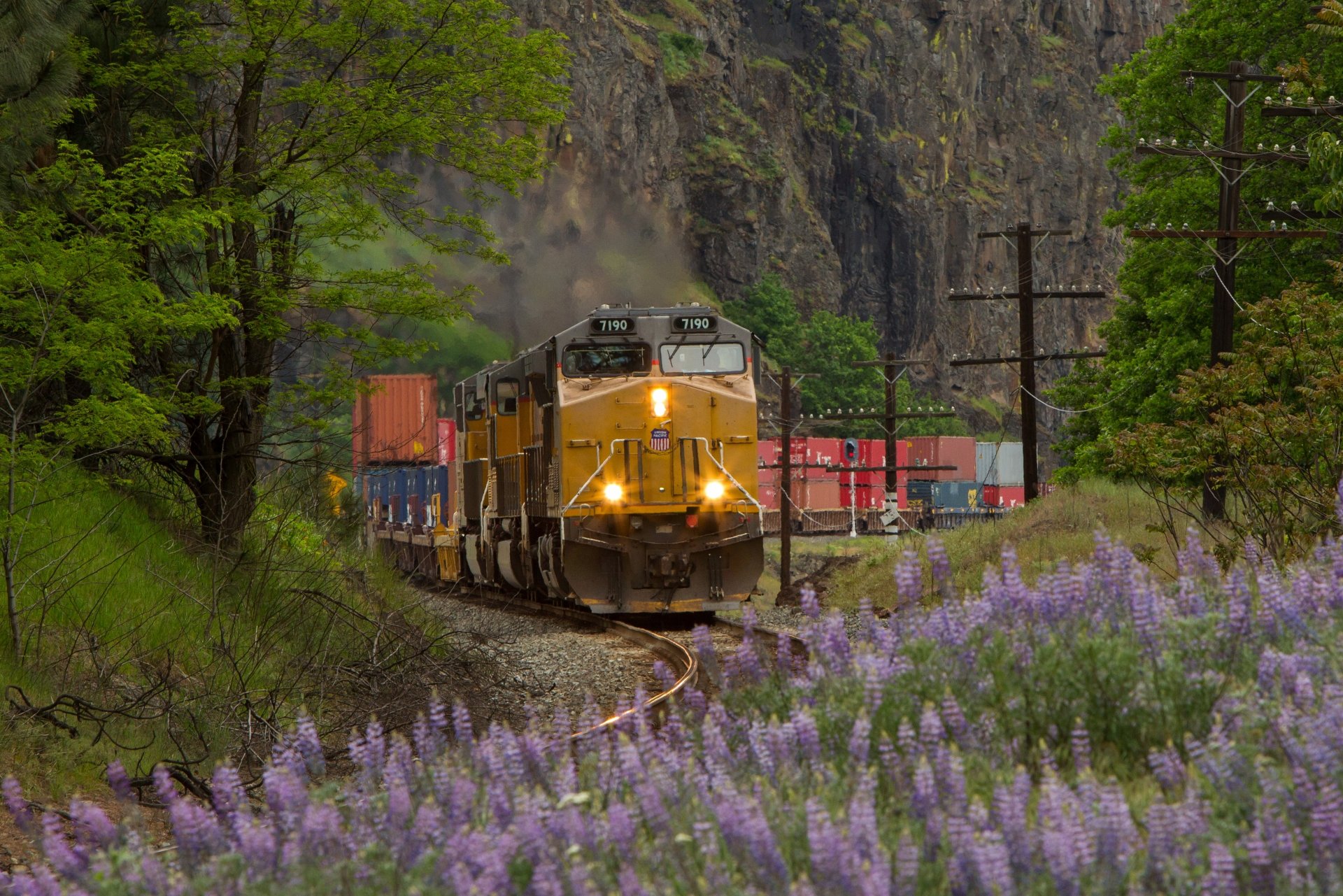 train railroad locomotive rails nature