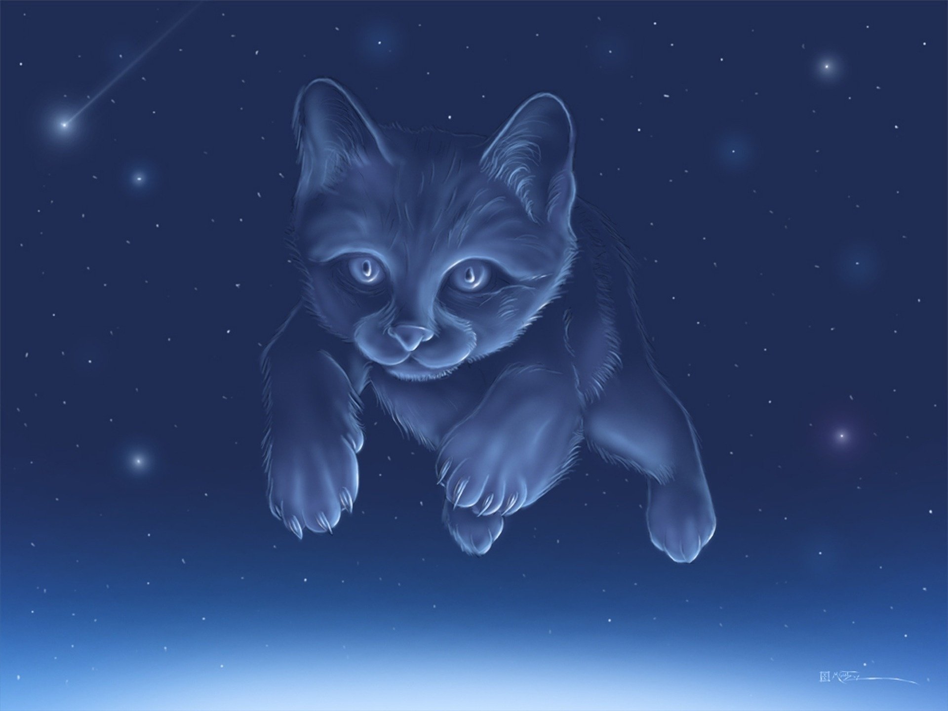 gatto costellazione cielo vista felino