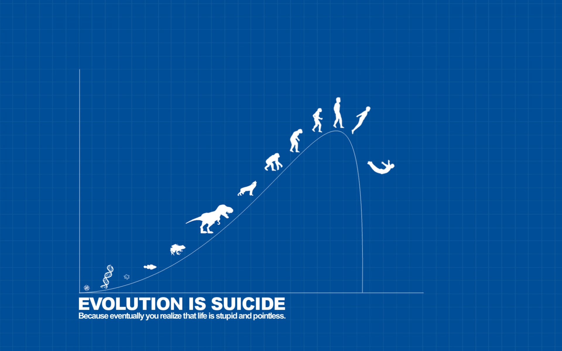 ewolucja samobójstwa evolution is suicide minimalizm sztuka napis napisy prostota kontrast biały styl