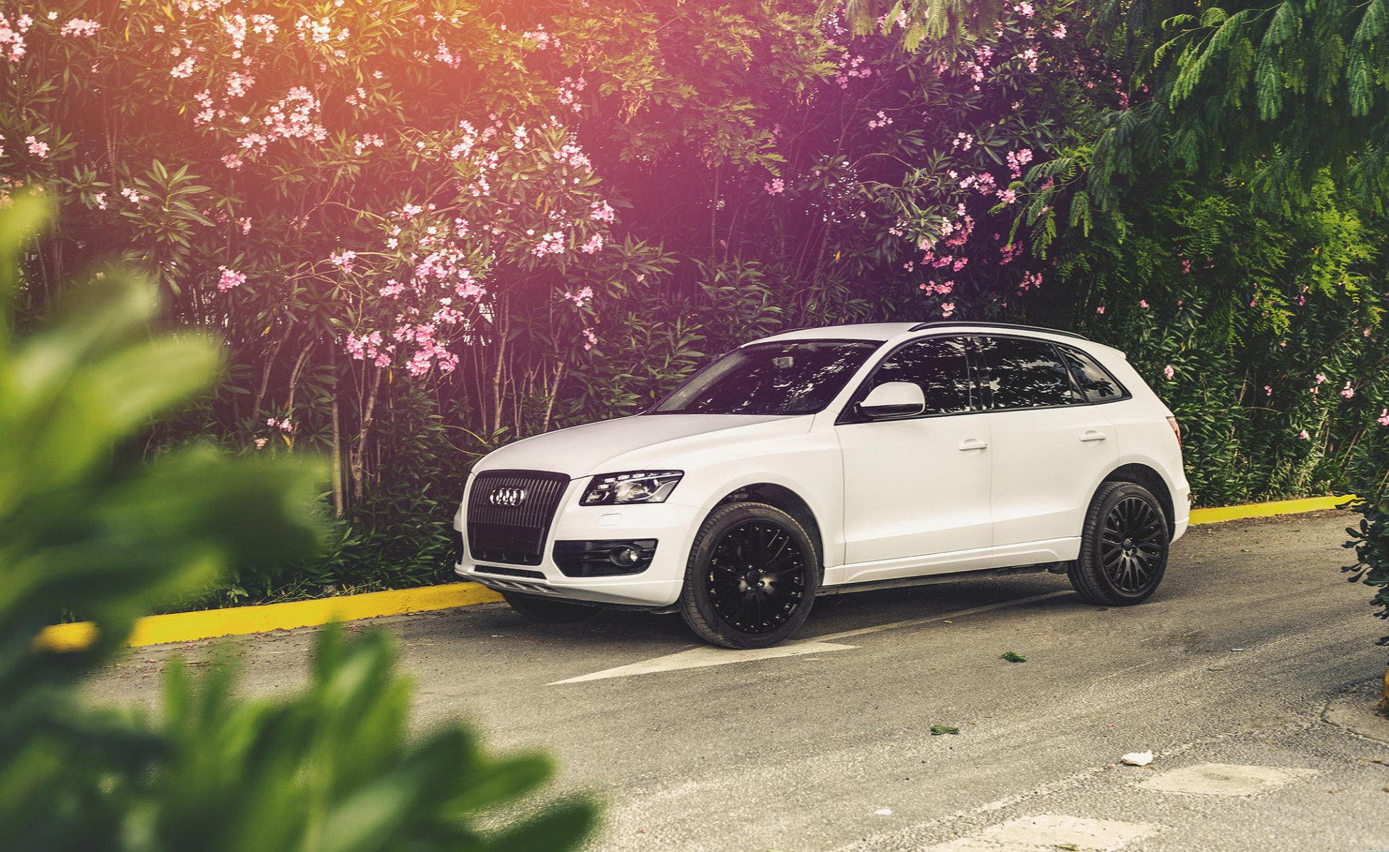 audi q5 dispositif un blanc audi