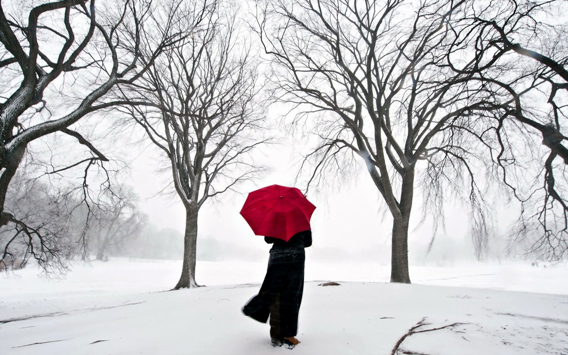 akura japan snow girl umbrella trees road horizon weather