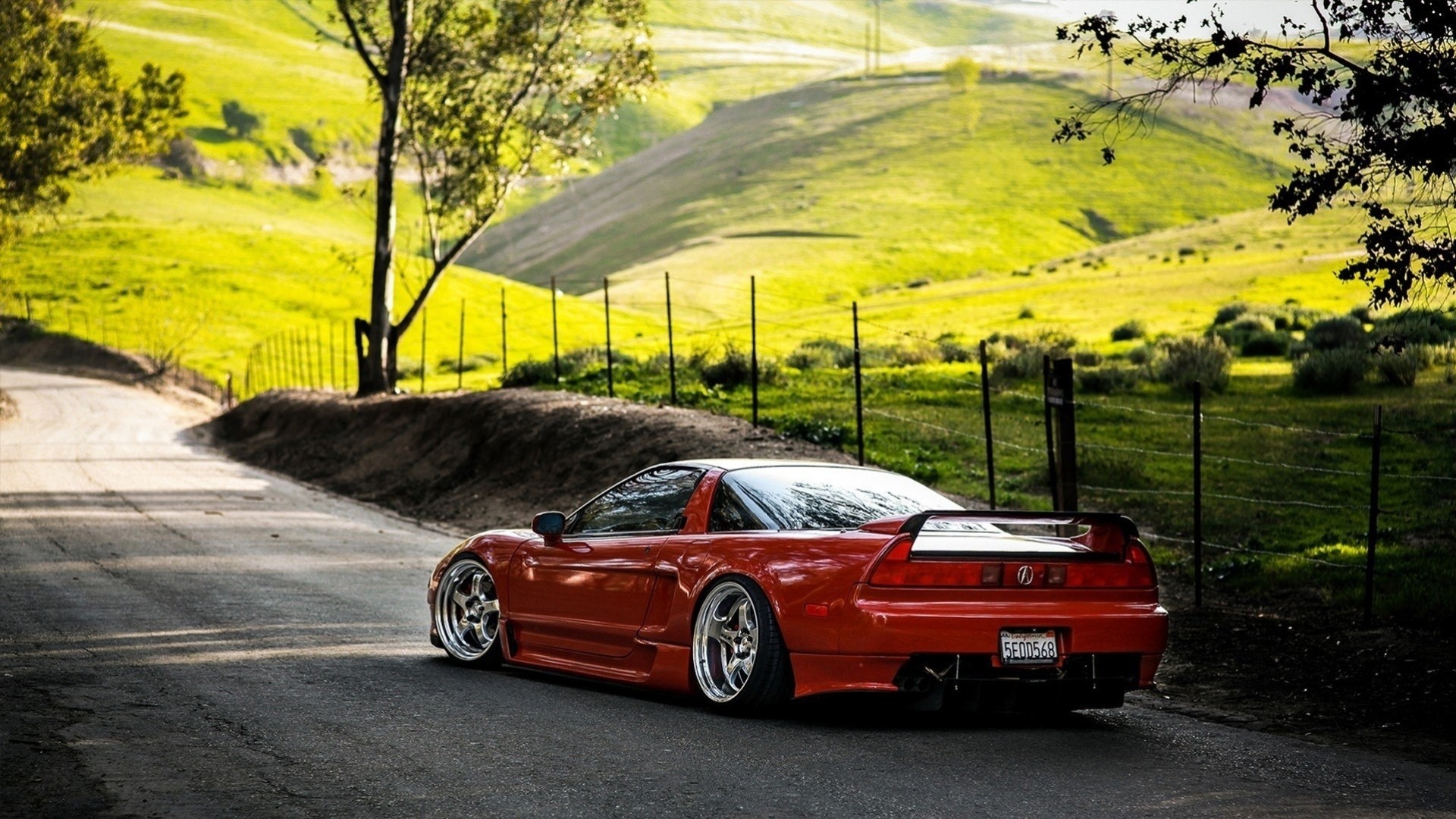 spoiler rouge arbres jantes voiture clôture auto acura pelouse