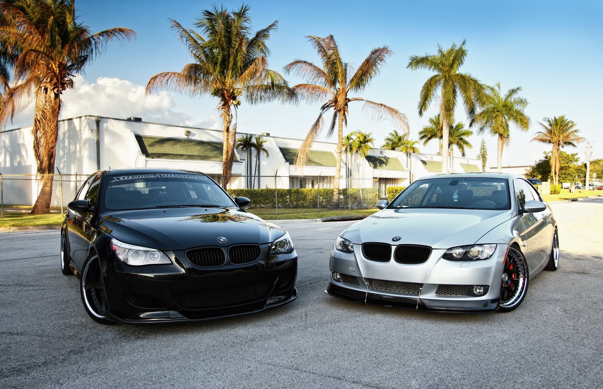 bmw sky palm trees tuning two road aswalt bmw auto black white background passenger cars transport motor transport