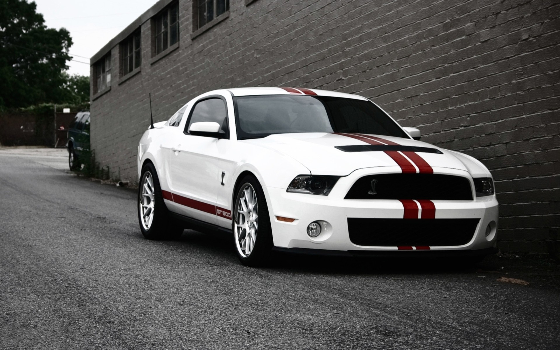 ford mustang coche rojo gt500 rápido blanco shelby