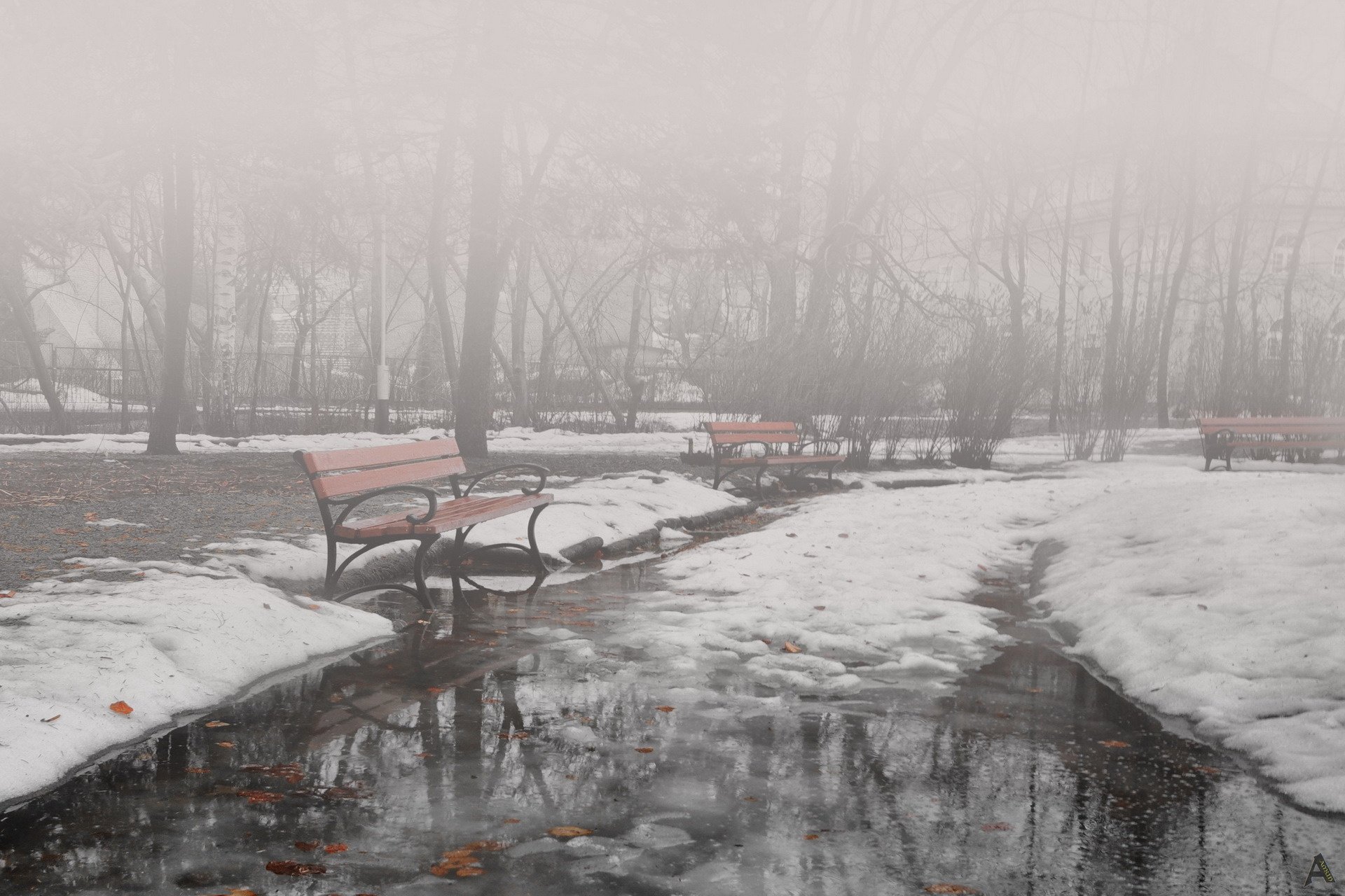 parco pioggerellina inverno panchine nebbia natura pozzanghere maltempo grigiore disgelo fusione acqua panchine nuvoloso