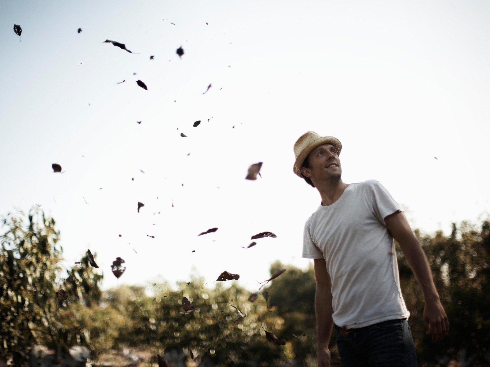 jason mraz singer guy falling leaves look to the sky nature photo hat leaves the sky