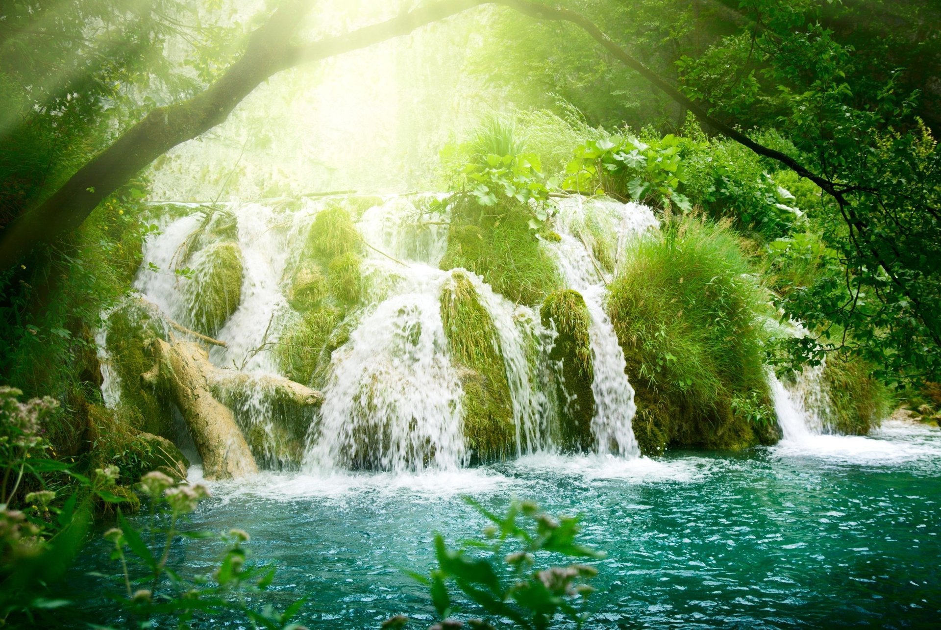 blumen strahlen wasserfall bäume vegetation sonne wasserfall azurblau fluss wald gras wasser wasserfälle grüns zweige sonnenstrahlen