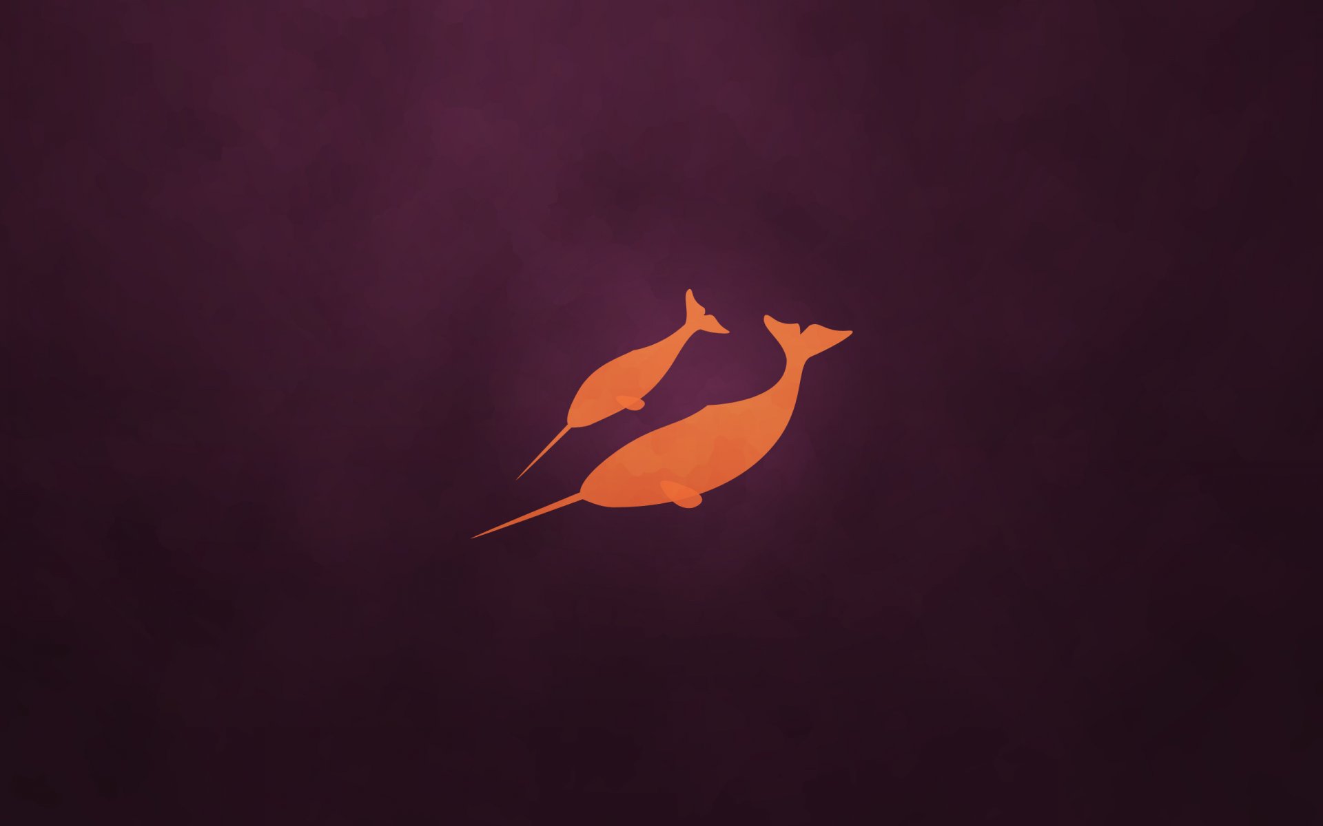 natty narwhal minimalismus veilchen ubuntu hintergrund embleme