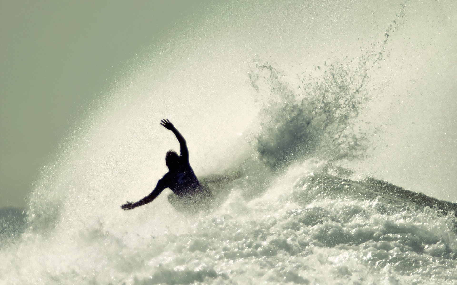 deporte hombre mar surfing verano tablero surf muchachos gente tableros espray muchacho agua olas océano surfista