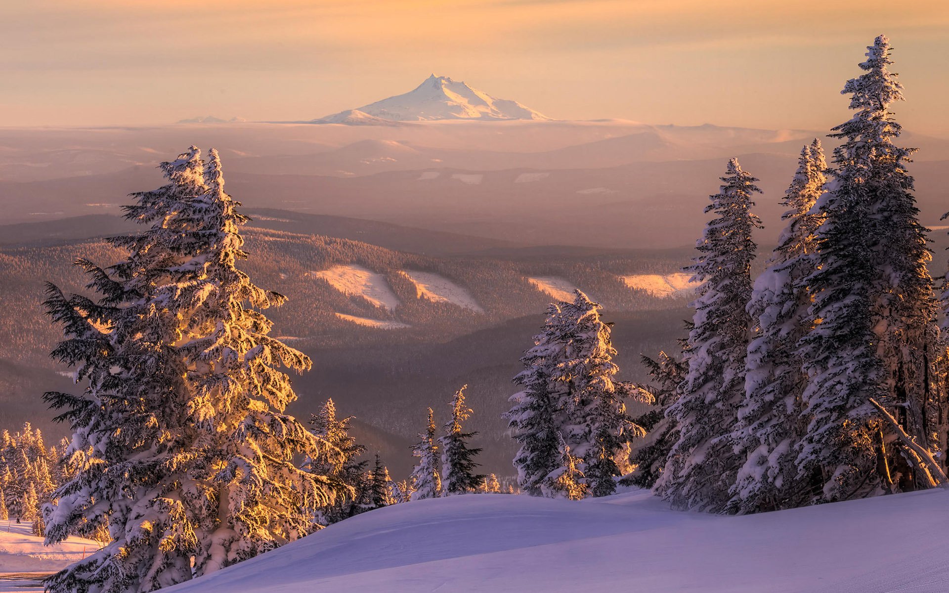 paysage neige épinette montagnes nature horizon hiver forêt coucher de soleil congères vue arbre de noël