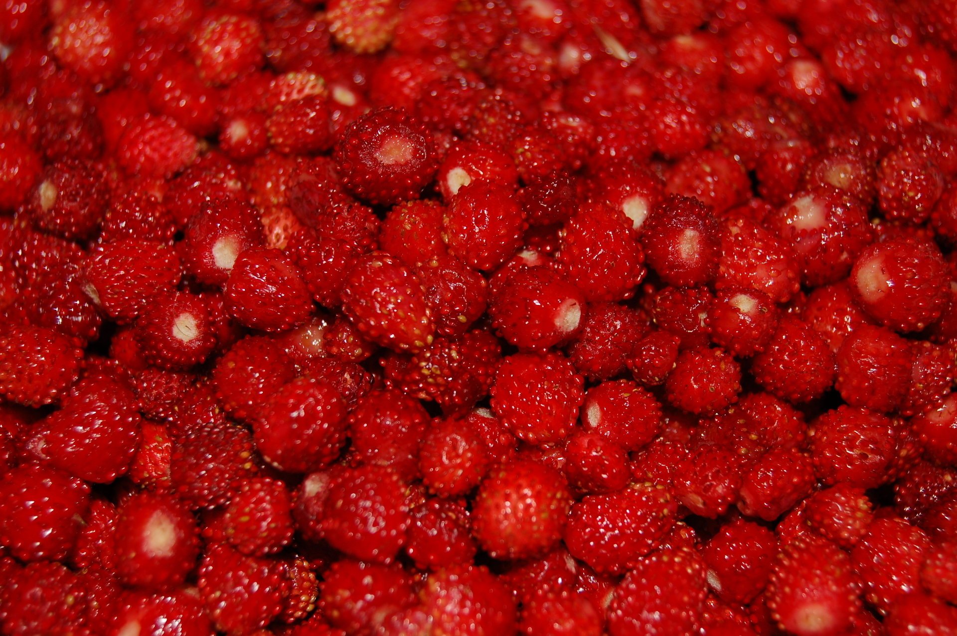 viele erdbeeren beeren früchte textur