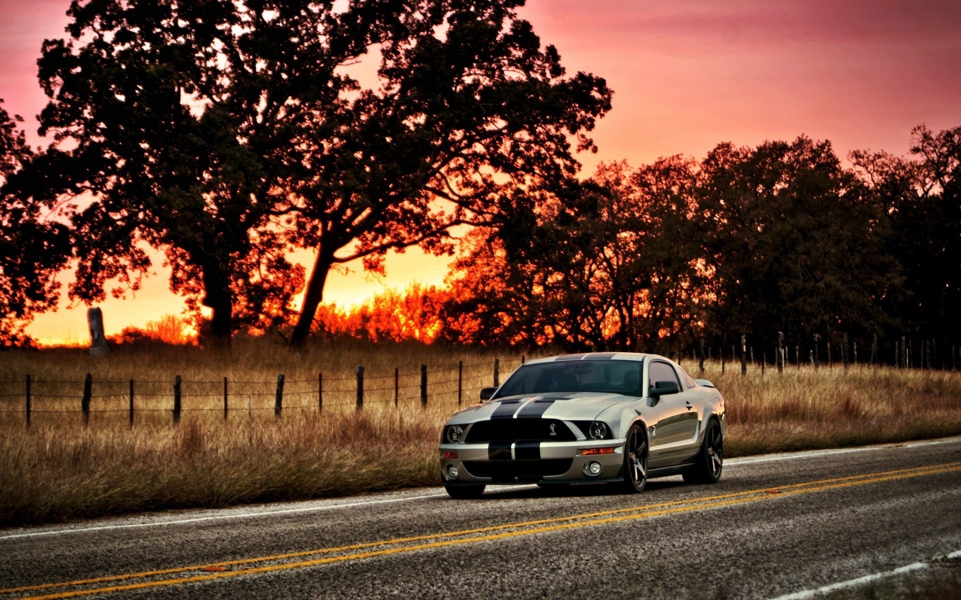 mustang gt500 auto shelby ford