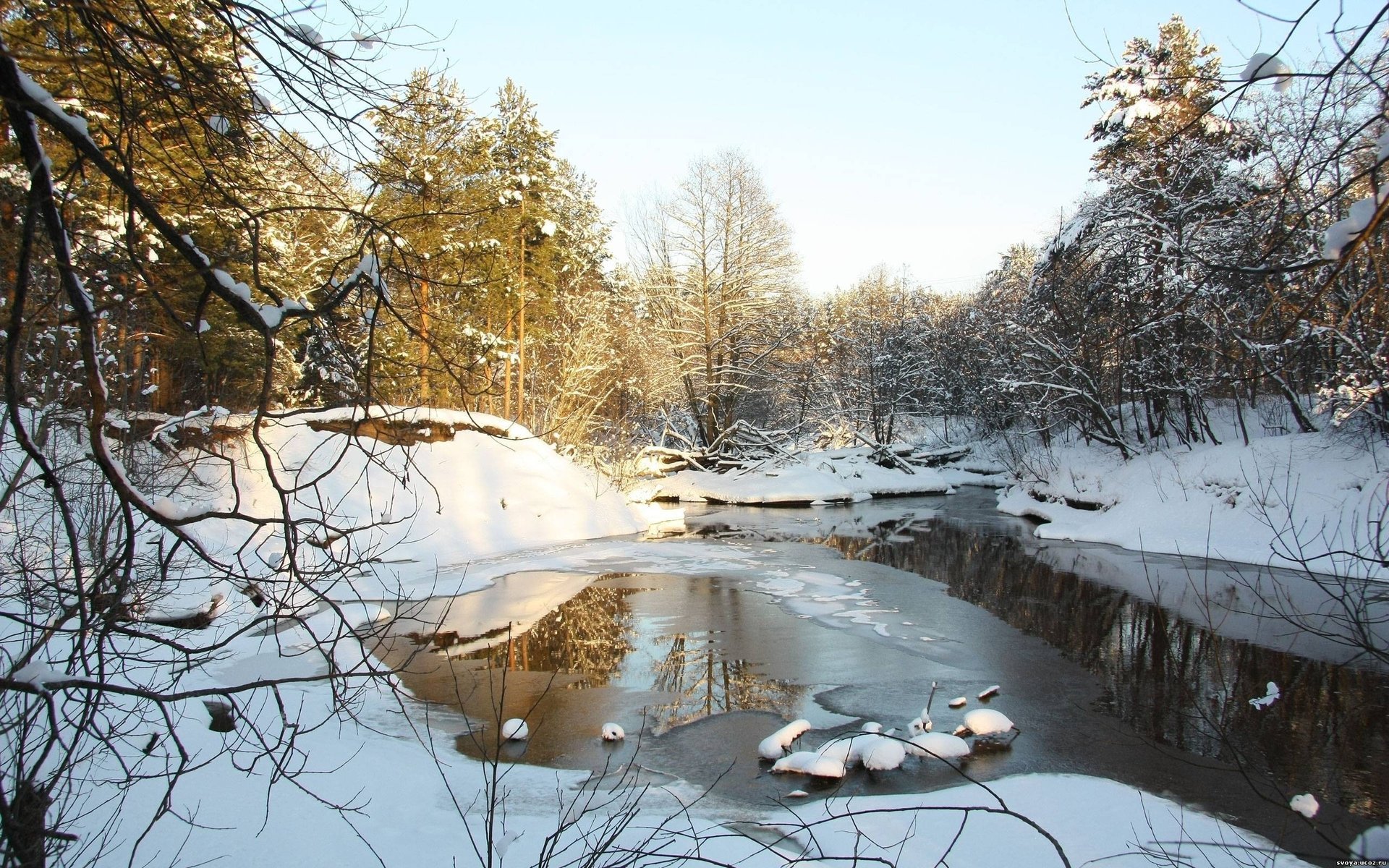 dov nature pine trees snow spring river log winter forest branches the sky the rays of the sun