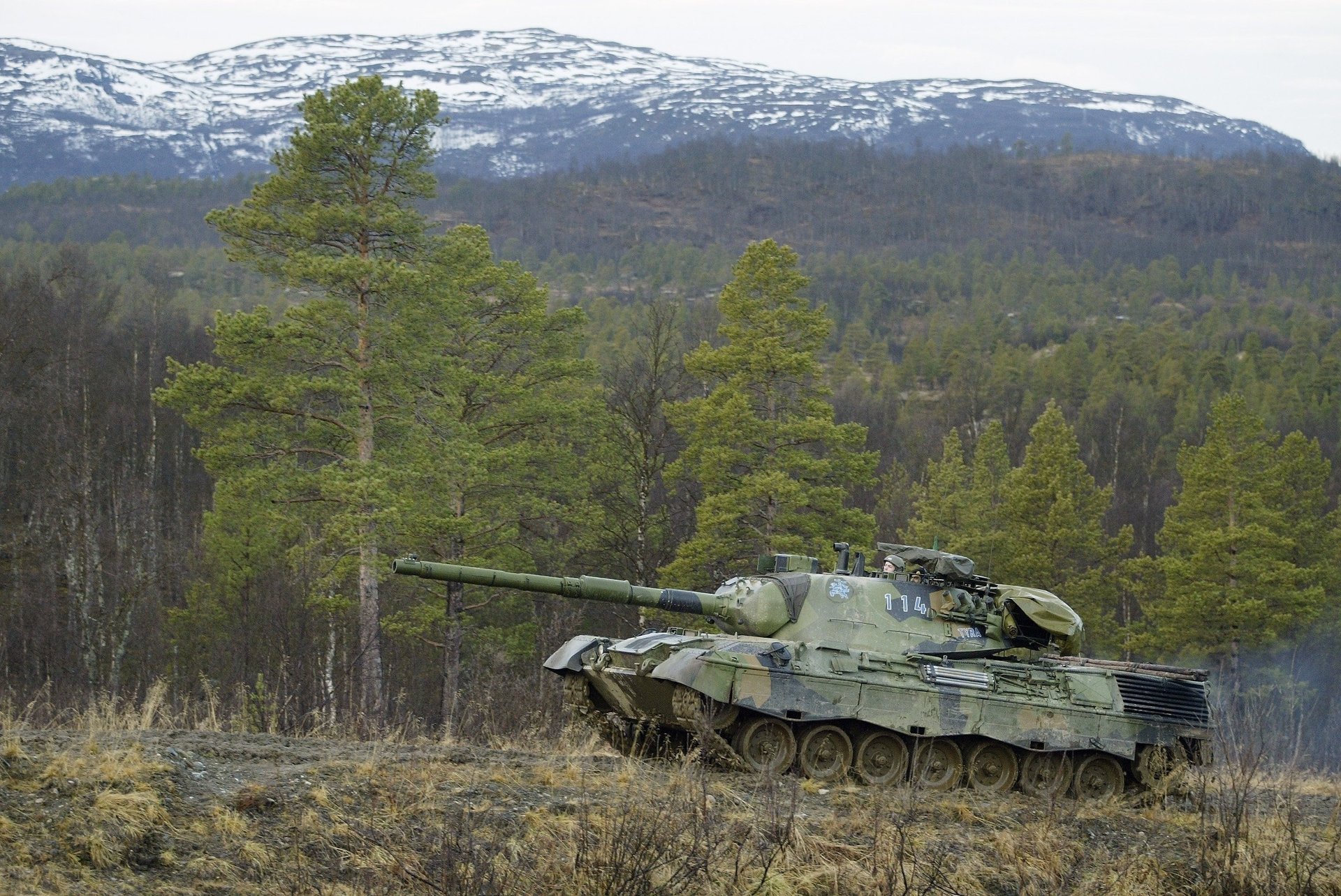 tank snowy peaks forest leopard1 military equipment mountains landscape nature profile trees autumn the rise