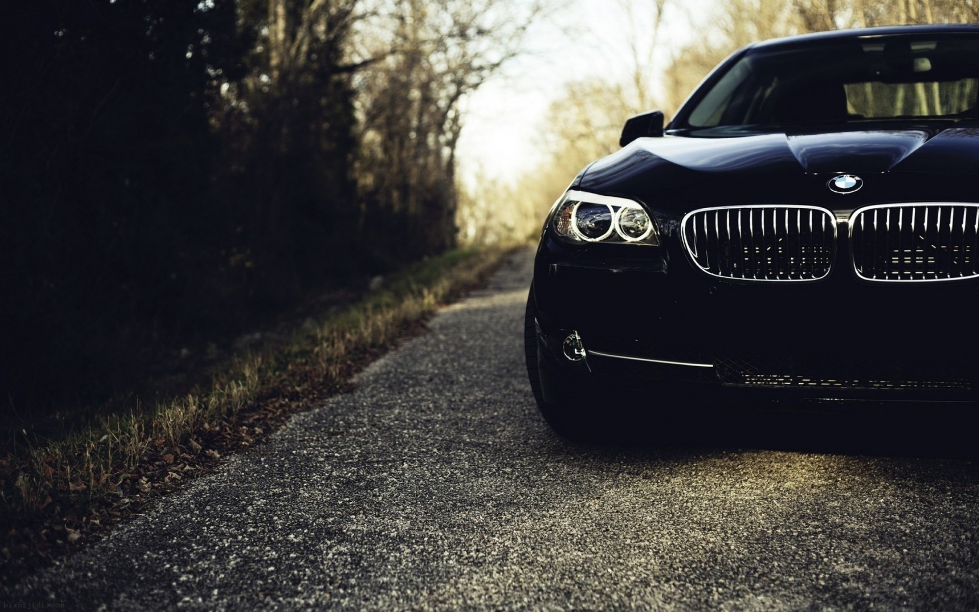 vehicles bmw black m5