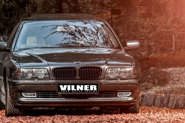 Messa a punto grigia BMW e38