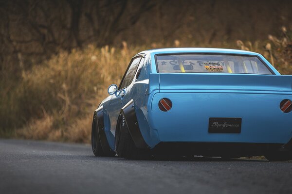 Coche. Nissan Skyline en la carretera