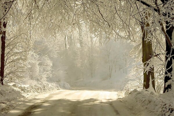 Route d hiver dans la forêt de conte de fées