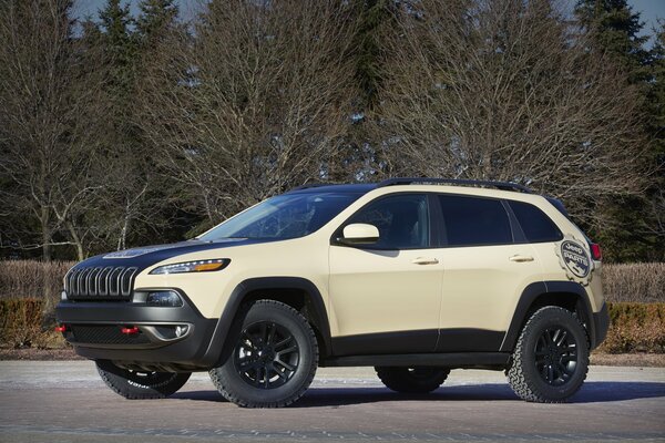 Jeep 2015 is well suited to ride in the canyon