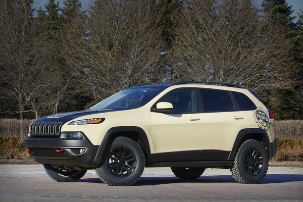 Jeep 2015 es bueno para montar en el cañón