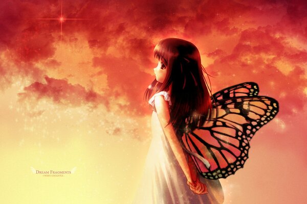 Coucher de soleil elfe avec des ailes de papillon anime rêves