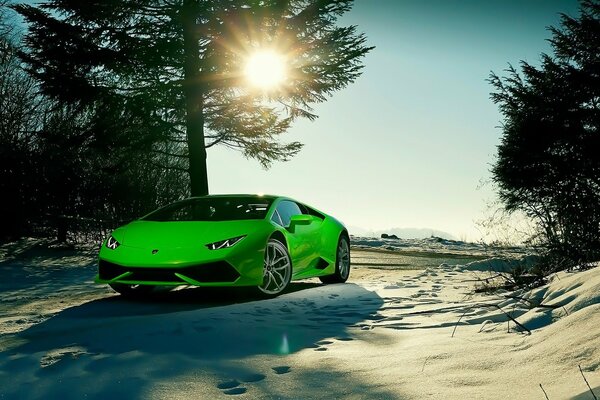 Lamborghini-hellgrünes Auto Huracan im Sand unter einem Baum