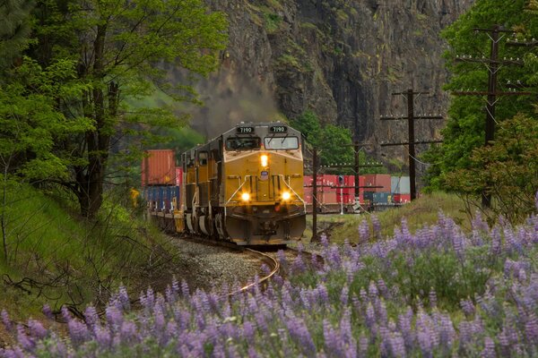 Eisenbahn Lokomotive Natur