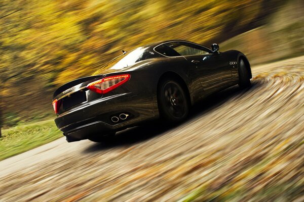 A black maserati is racing at full speed against the background of an autumn forest