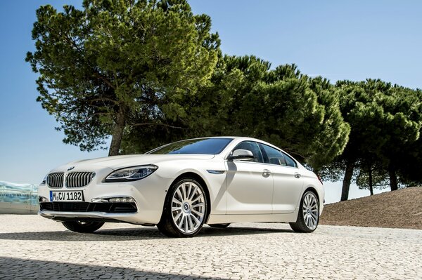 BMW sta in una giornata di sole vicino agli alberi