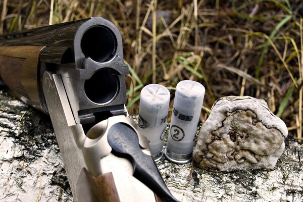 Rifle de caza en un tronco en el bosque