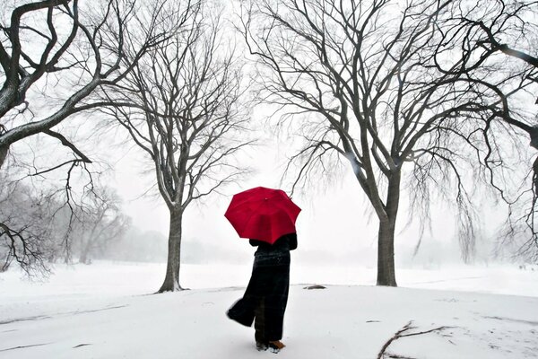 Winter Park und Regenschirm im japanischen Stil