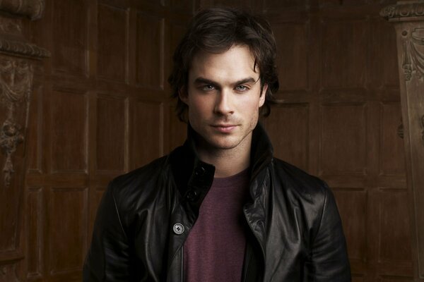 Damon con el retrato de the Vampire Diaries