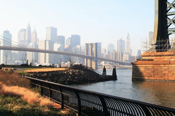 Photos of US skyscrapers in the fog