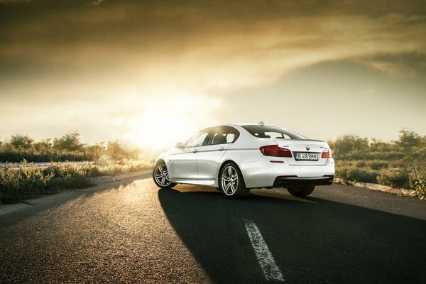 BMW en un hermoso fondo. Boomer en el camino