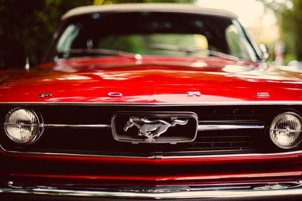 Classique maslkar Ford Mustang