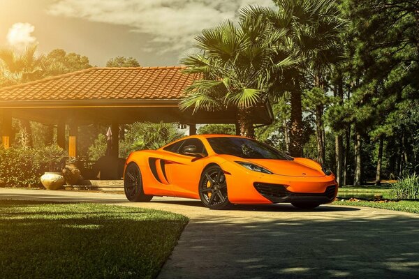 On the road under the palm trees - a bright orange McLaren supercar