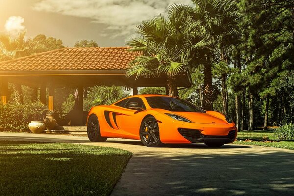 En el camino bajo las palmeras - brillante naranja superdeportivo McLaren