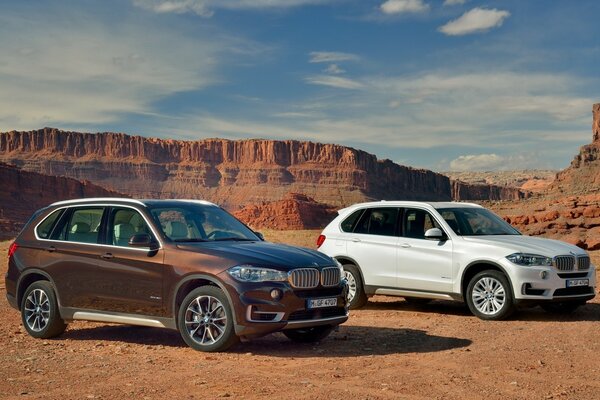 Canyon, Auto Vorfahre des bmw x5