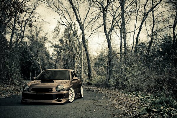Bronze Subaru car in the park against the background of trees without foliage