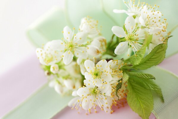 A sprig of cherry blossoms on a gift box