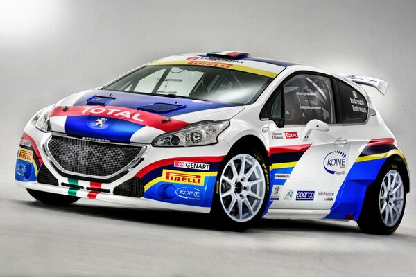 Racing peugeot for rally racing