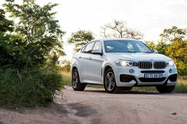 Bmw, x6 su una strada sterrata vicino alla boscaglia